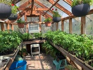 FISH tomato start fundraiser